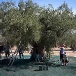 Eumelia Organic Agrotourism Farm Gouvai