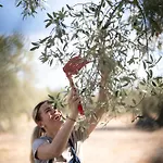 Eumelia Organic Agrotourism Farm Hotel 3*