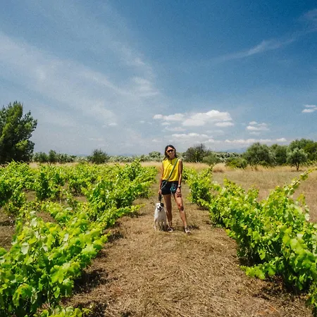 Hotell Eumelia Organic Agrotourism Farm