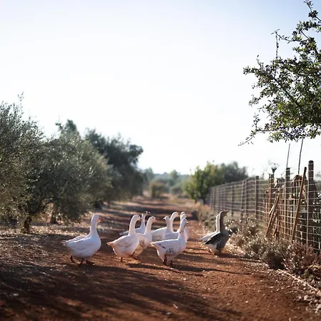 Eumelia Organic Agrotourism Farm Hotell