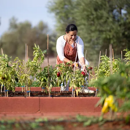 Eumelia Organic Agrotourism Farm Hotel Gouvai