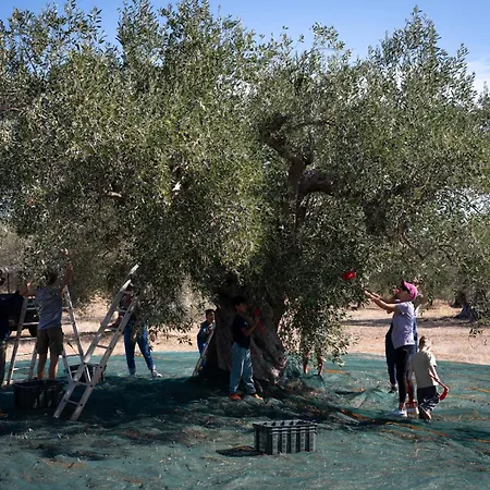 Eumelia Organic Agrotourism Farm Goúvai