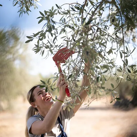 Eumelia Organic Agrotourism Farm Hotel 3*