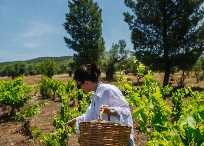 Eumelia Organic Agrotourism Farm Hotell 3*