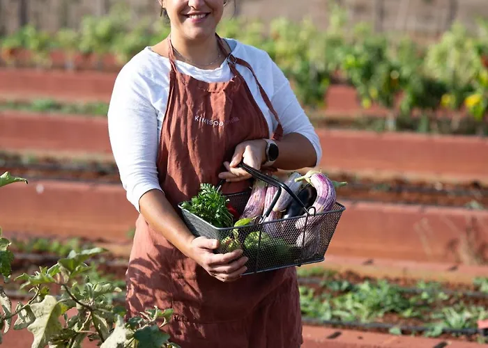 酒店 Eumelia Organic Agrotourism Farm Goúvai