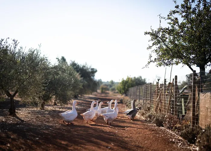 Eumelia Organic Agrotourism Farm 酒店