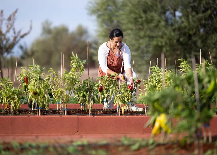 Eumelia Organic Agrotourism Farm 酒店 Goúvai