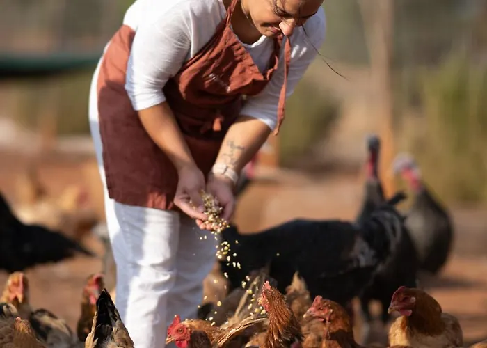 Hotell Eumelia Organic Agrotourism Farm 3*