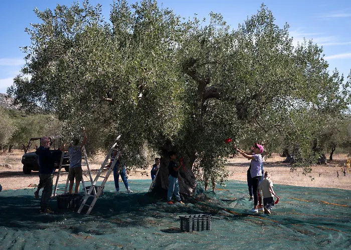 Eumelia Organic Agrotourism Farm Goúvai
