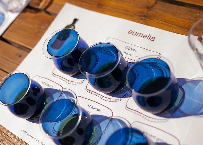 酒店 Eumelia Organic Agrotourism Farm Goúvai